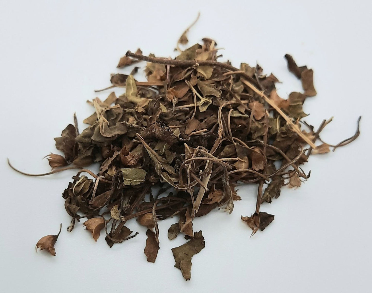 Organic Holy Basil (Tulsi Rama)