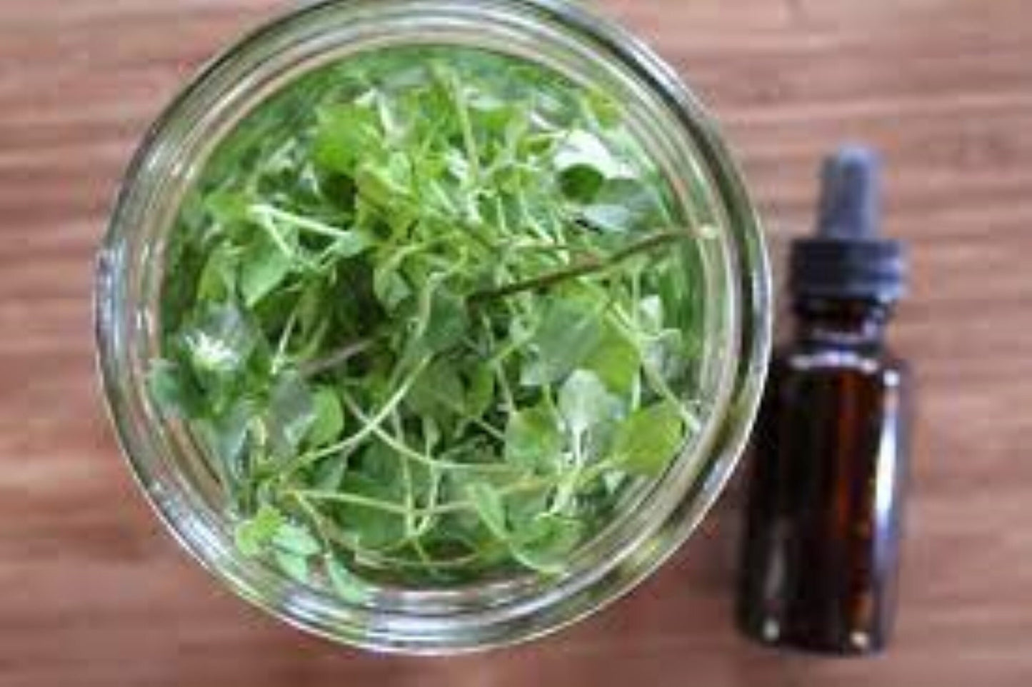 Organic Chickweed (stellaria media)