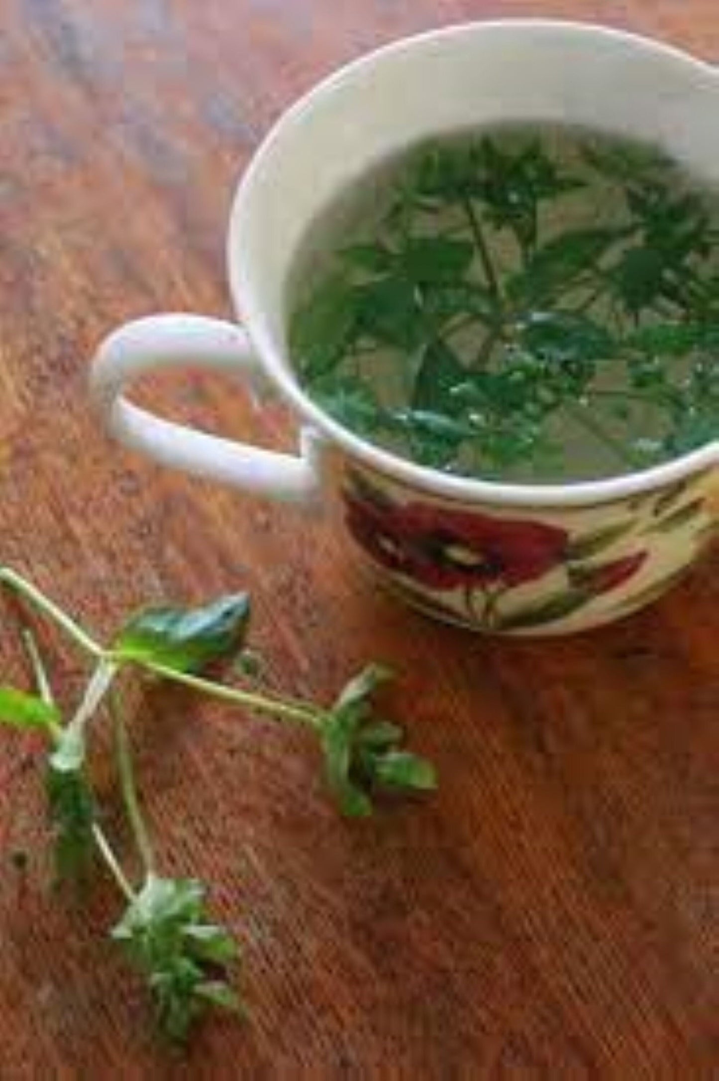 Organic Chickweed (stellaria media)