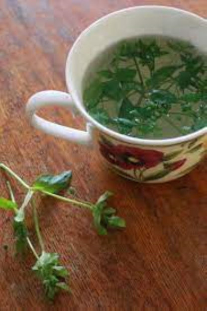 Organic Chickweed (stellaria media)